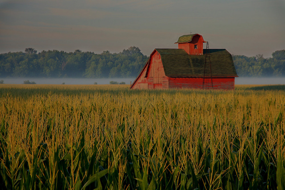 farm and crop insurance Fredericksburg TX